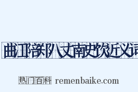 曲江陪郑八丈南史饮近义词是什么意思的图片